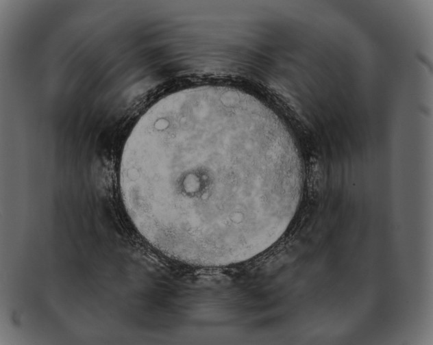 X0000091880918200709191153