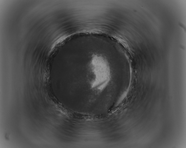 X0000091880920200709191153