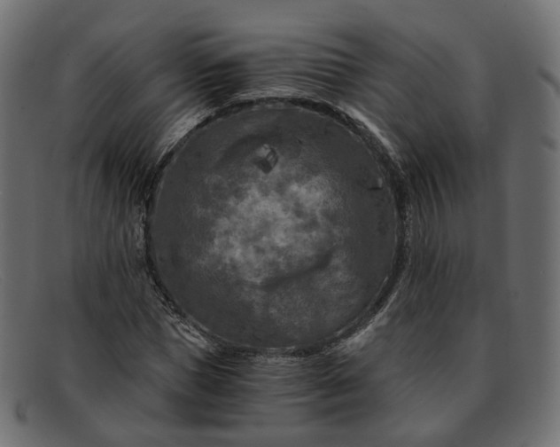 X0000091880921200709191153