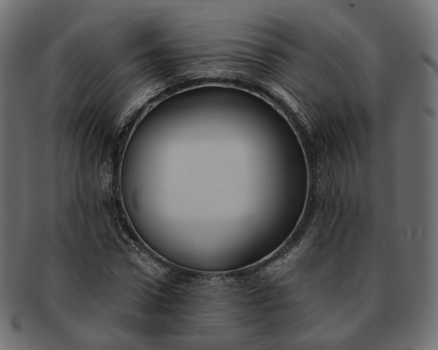 X0000091880922200709191153