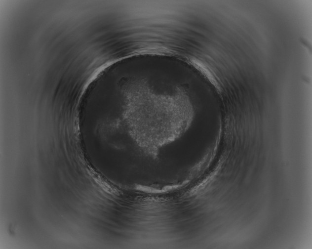 X0000091880923200709191153