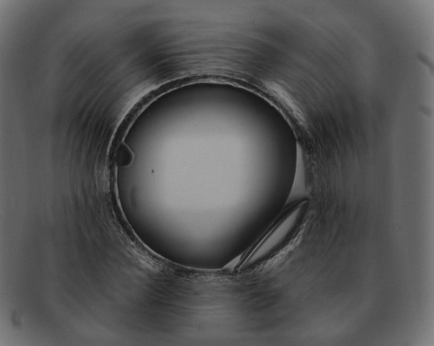 X0000091880924200709191153