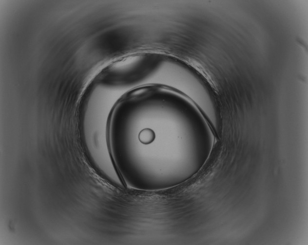 X0000091880926200709191153