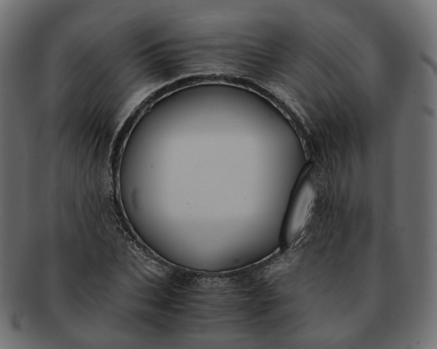 X0000091880927200709191153