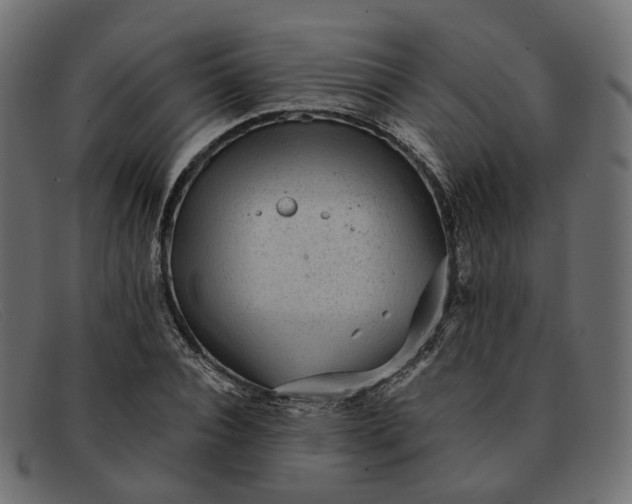 X0000091880928200709191153