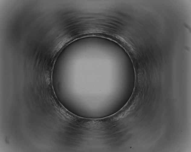 X0000091880929200709191153