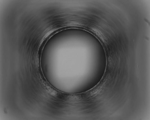 X0000091880931200709191153