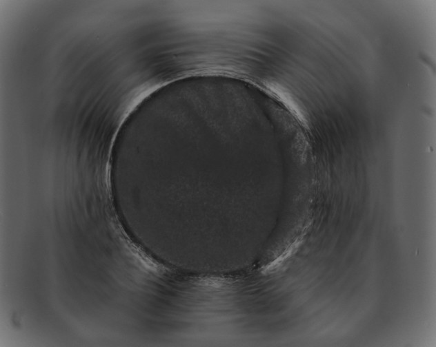 X0000091880932200709191153