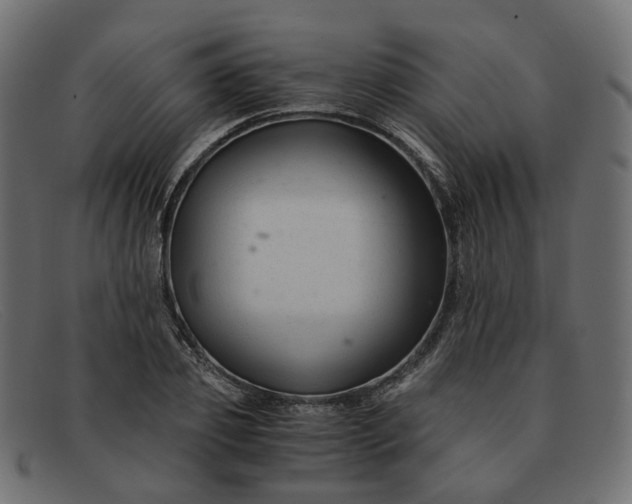 X0000091880933200709191153