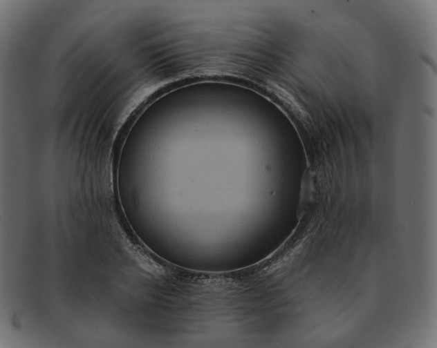 X0000091880934200709191153