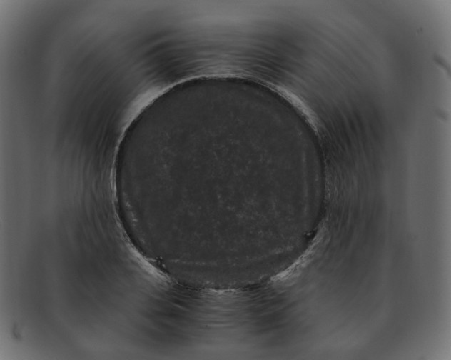 X0000091880935200709191153