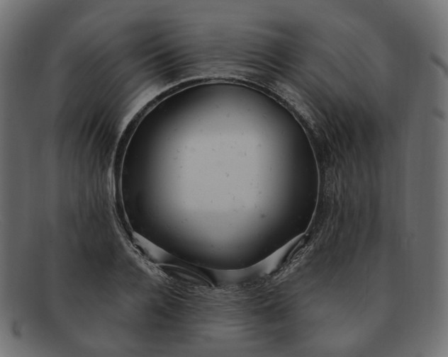 X0000091880936200709191153