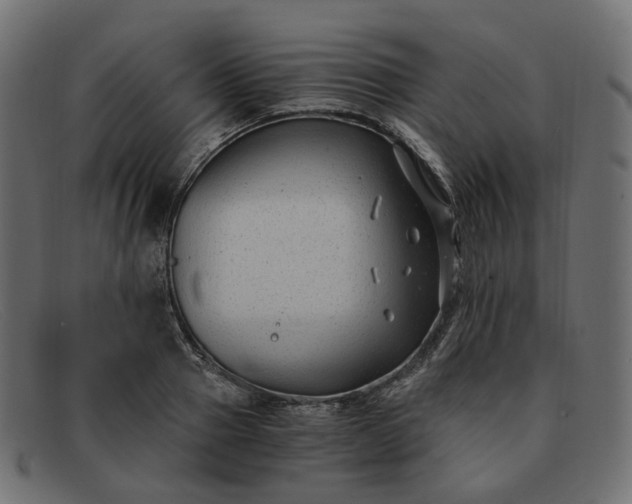 X0000091880937200709191153