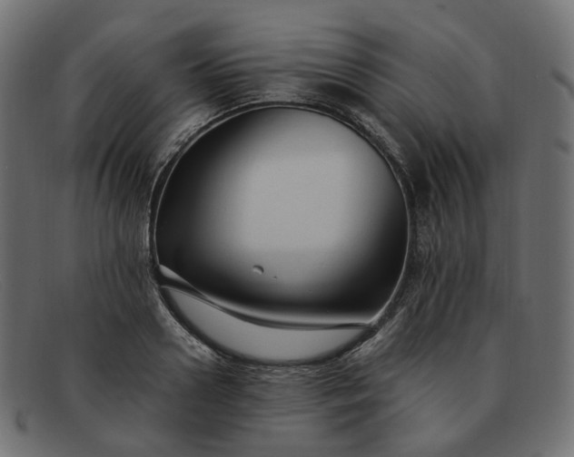 X0000091880938200709191153