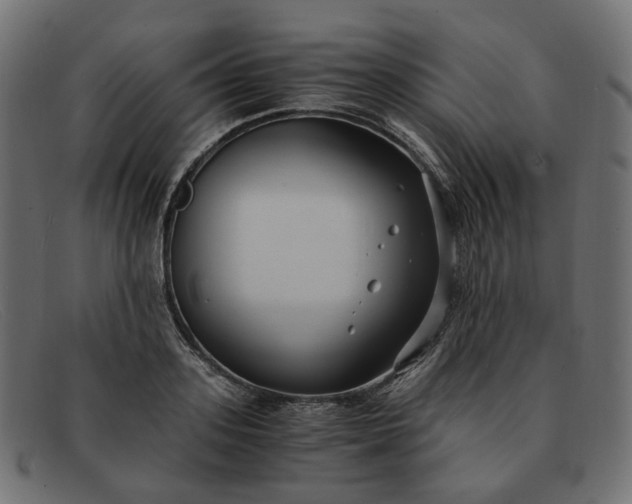 X0000091880939200709191153