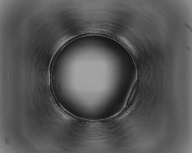 X0000091880940200709191153