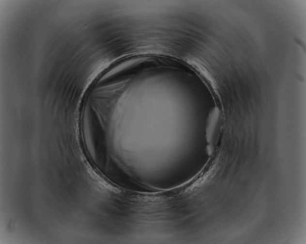 X0000091880941200709191153