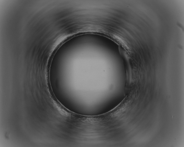 X0000091880942200709191153