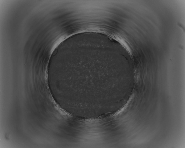 X0000091880944200709191153