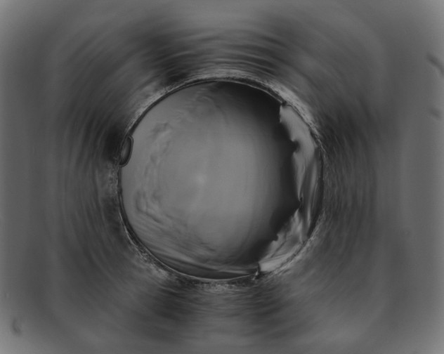 X0000091880945200709191153