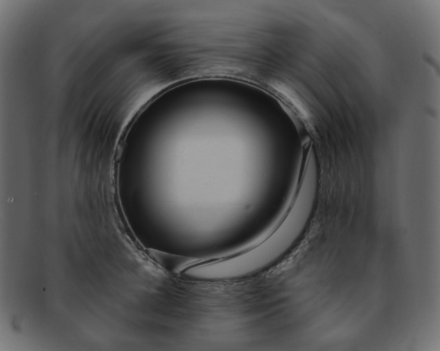 X0000091880948200709191154