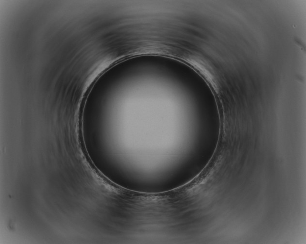 X0000091880949200709191154