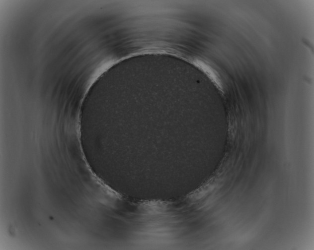 X0000091880950200709191154