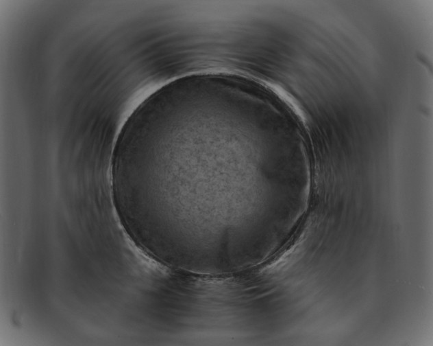 X0000091880951200709191154