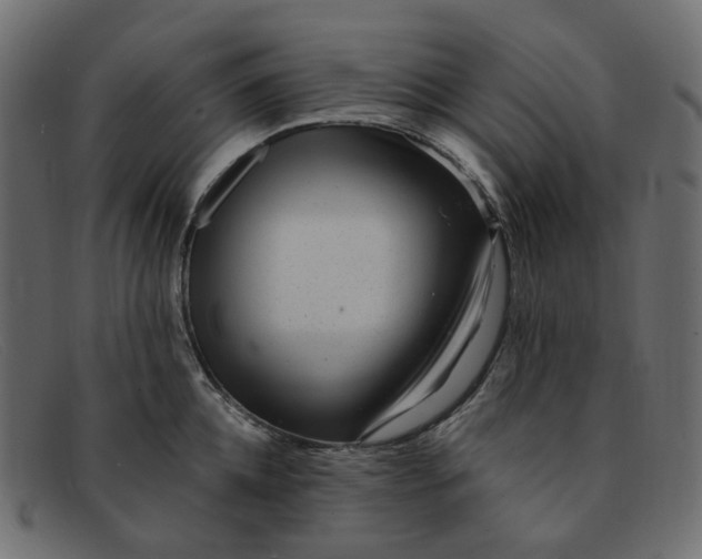 X0000091880952200709191154