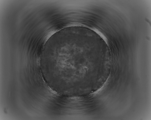 X0000091880953200709191154