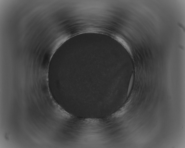 X0000091880954200709191154