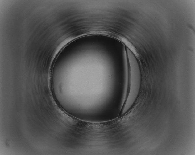 X0000091880955200709191154