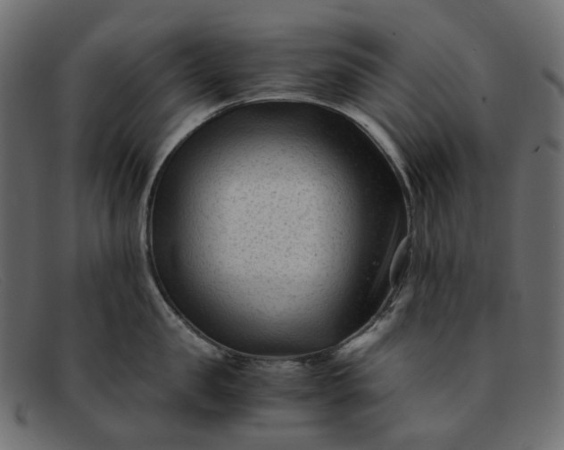 X0000091880957200709191154