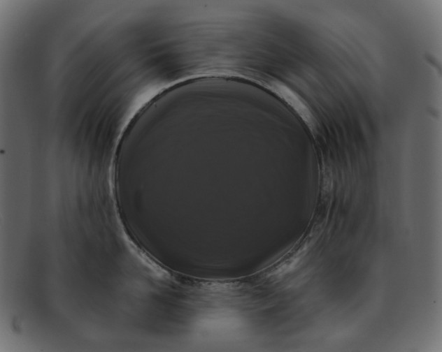 X0000091880958200709191154