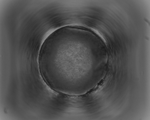 X0000091880959200709191154