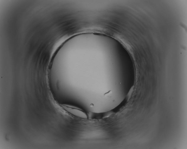 X0000091880960200709191154