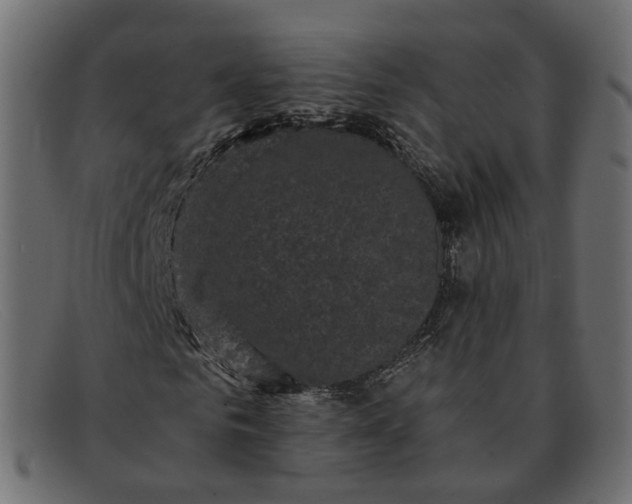 X0000091880961200709191153