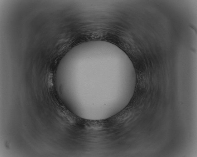 X0000091880962200709191153