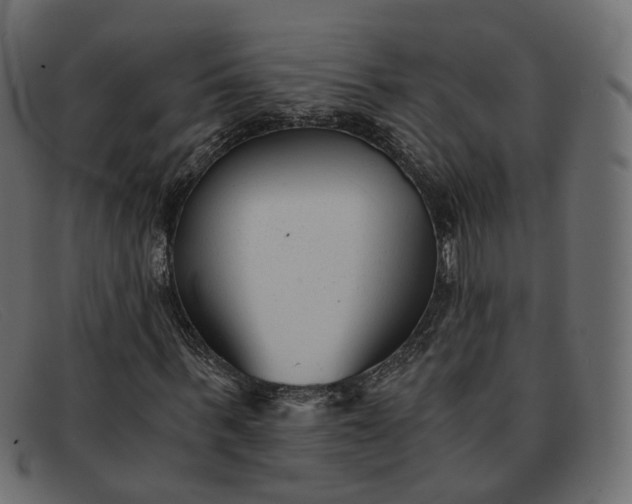 X0000091880963200709191153