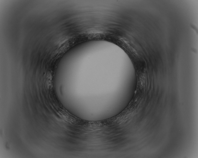 X0000091880964200709191153