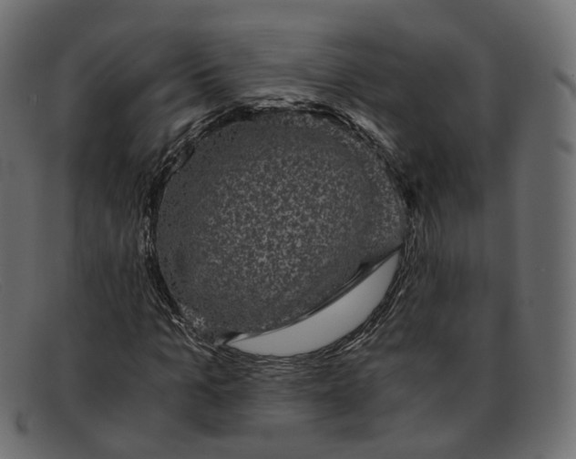 X0000091880965200709191153