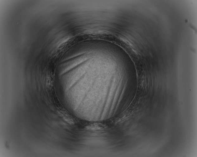 X0000091880966200709191153