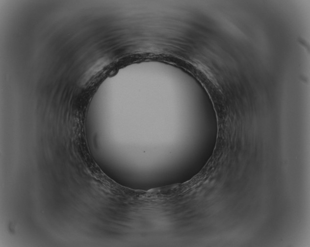 X0000091880967200709191153