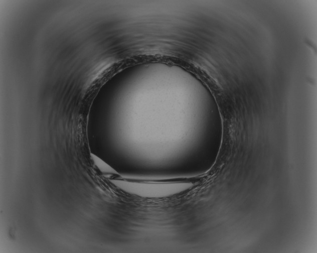 X0000091880968200709191153