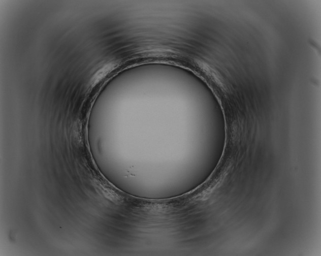 X0000091880970200709191153