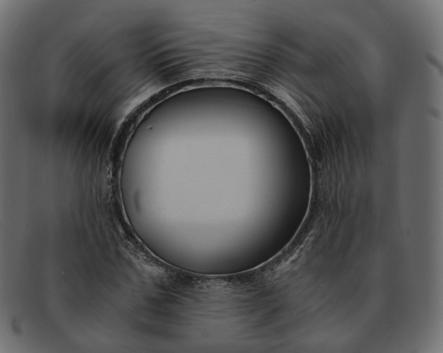 X0000091880971200709191153