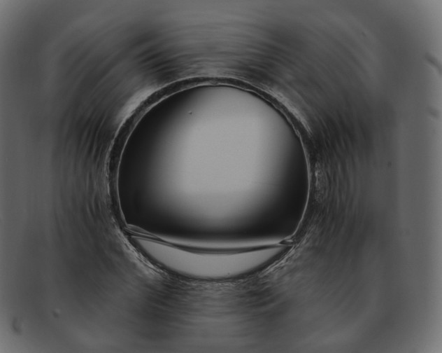 X0000091880972200709191153