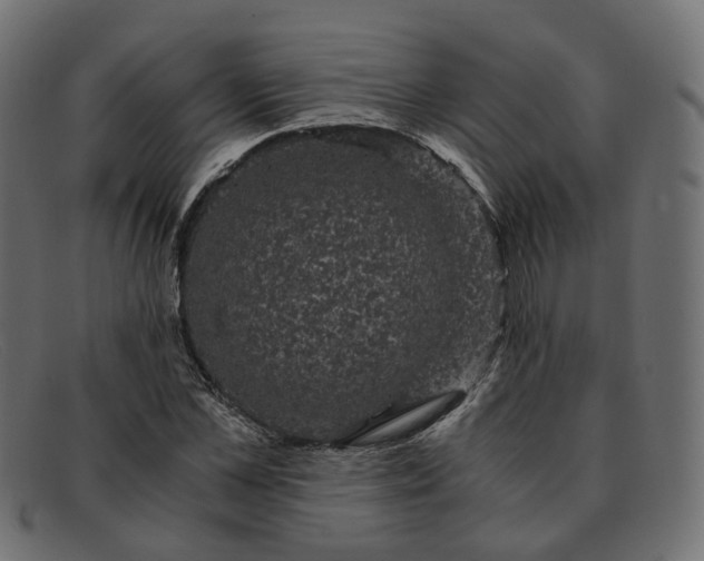 X0000091880973200709191153