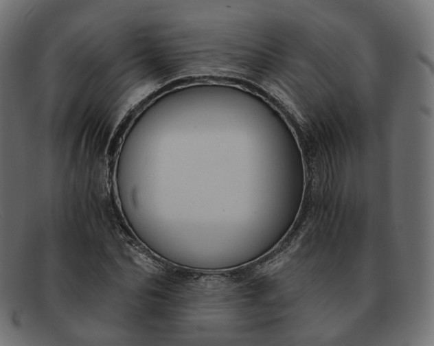 X0000091880974200709191153