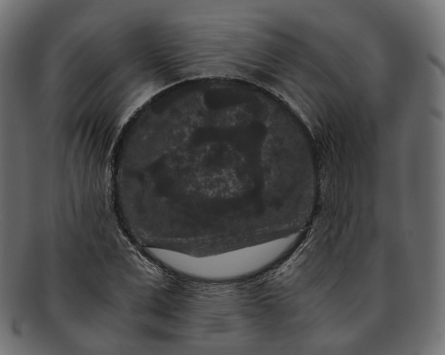 X0000091880975200709191153